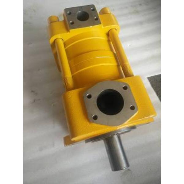 SUMITOMO QT22 Series Gear Pump QT22-6.3L-A #1 image